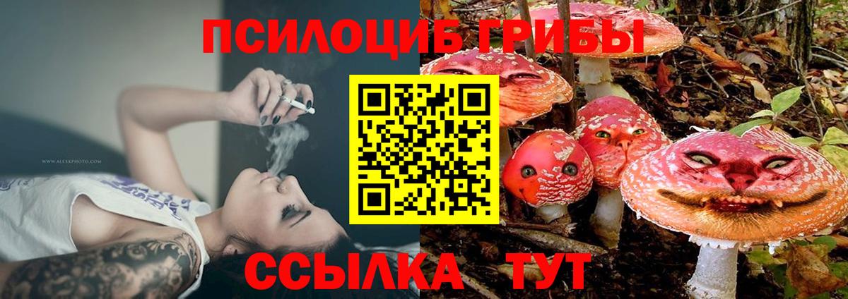 Псилоцибиновые грибы мицелий Шадринск