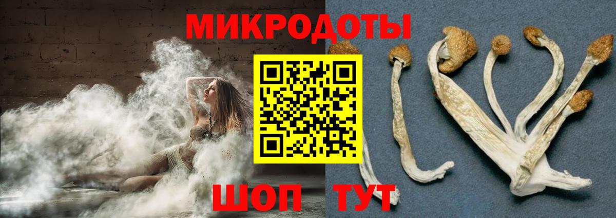 Псилоцибиновые грибы Cubensis  Вход с VPN  Шадринск  хочу   Псилоцибиновые грибы Magic Shrooms 